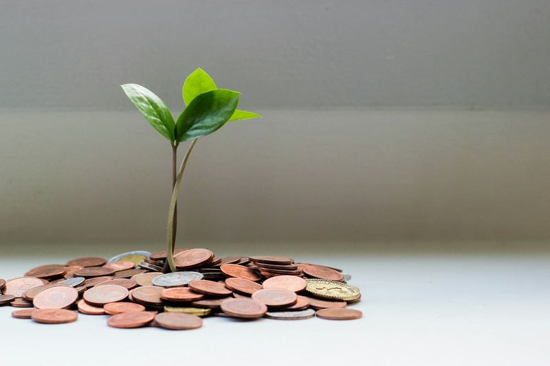Pequena planta crescendo sobre um monte de moedas